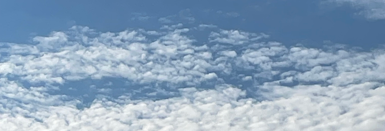 Dou Deux banner image